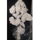 Buy Mexican Cocaine Online